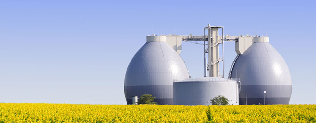 Picture Sustainable Biomass 1