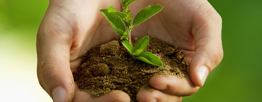 Picture ISO 14001 Environmental Management 1